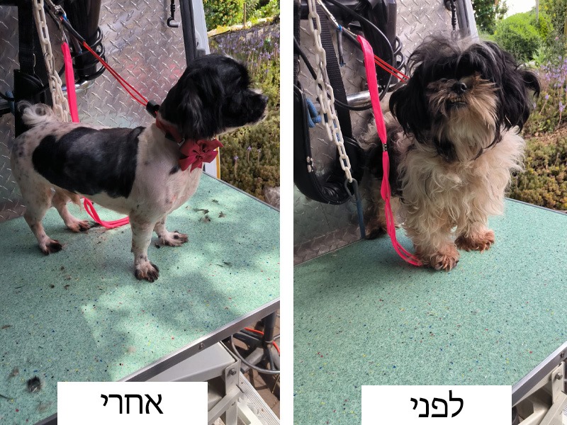 קצוץ קצוץ